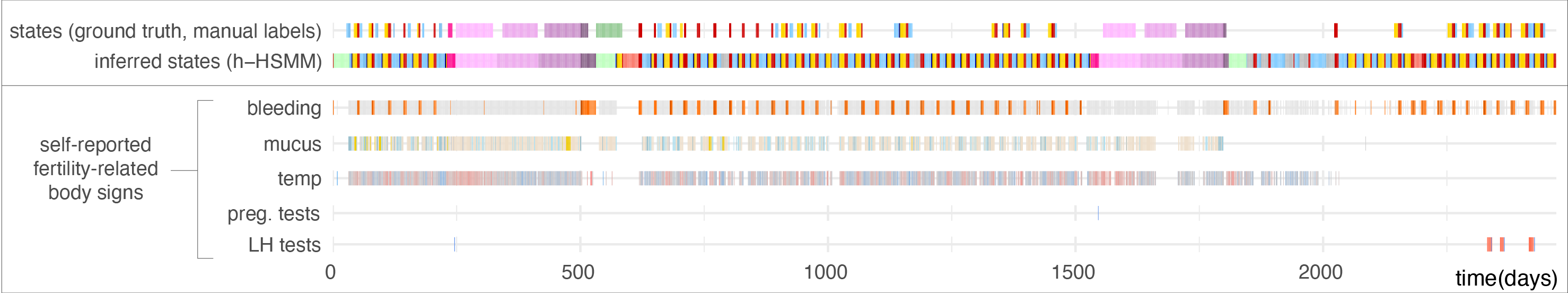 Time series of body signs self-reported by a user of a fertility tracking app, and the biological states, manually labelled or inferred by our hierarchical hidden semi-Markov model (h-HSMM)